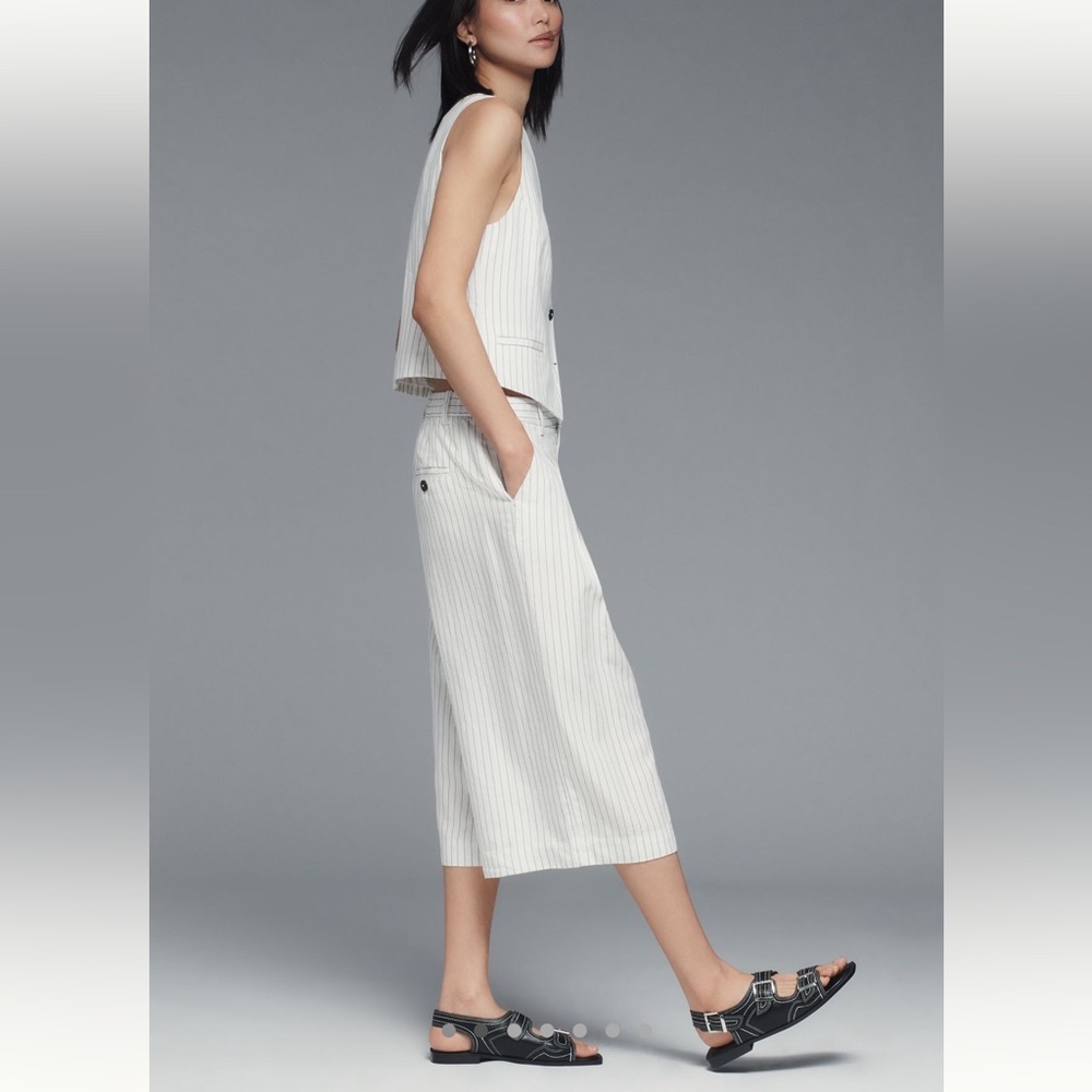 Anthropologie Pleated wide leg culotes Trousers s M